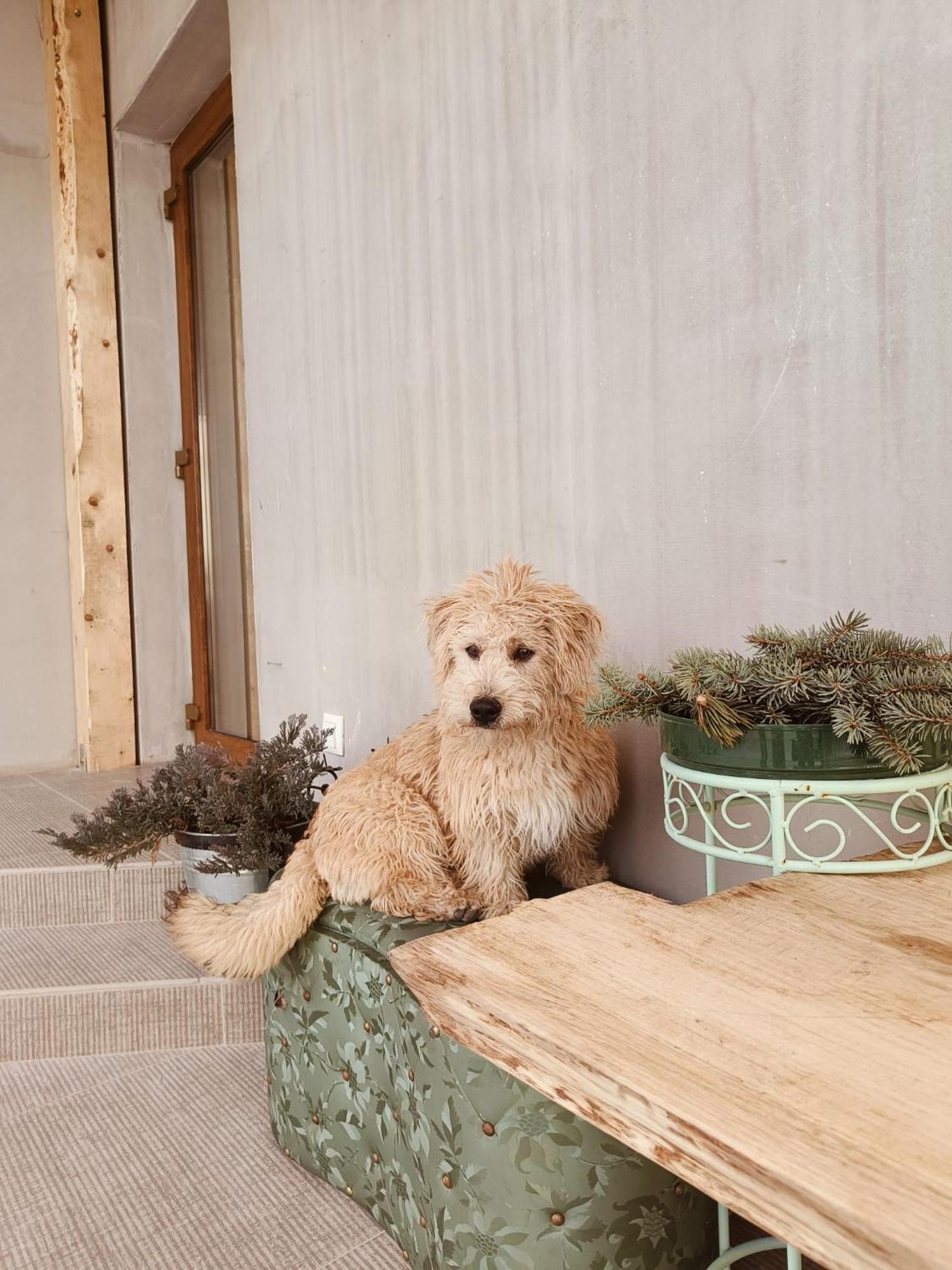 Kaffeinn Specialty Coffee ไบเออลูนูไม ภายนอก รูปภาพ